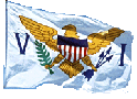 viflag.gif (7576 bytes)